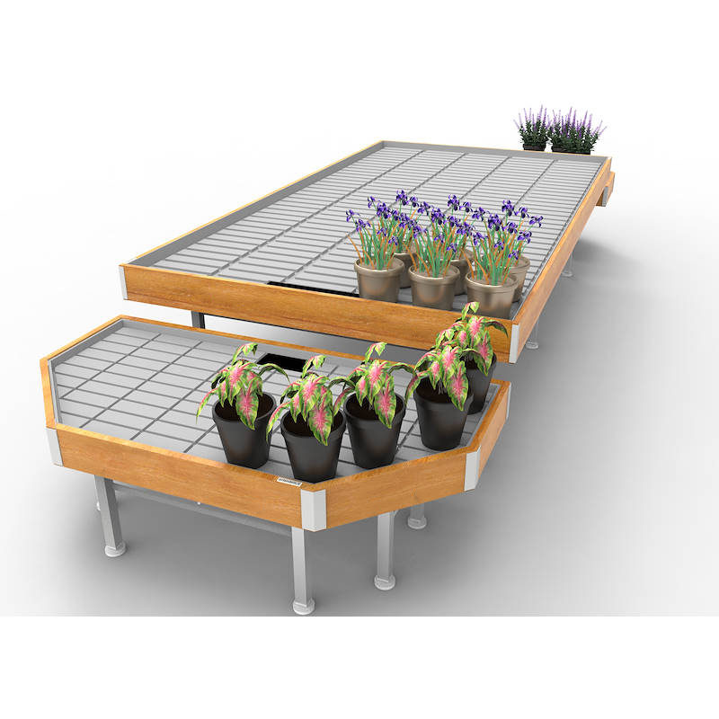 AKTIONEN Set Linie AMOR, Ausstellungs-Set: breite 1660 mm, Farbe: Naturholz, Packung: 1 Set