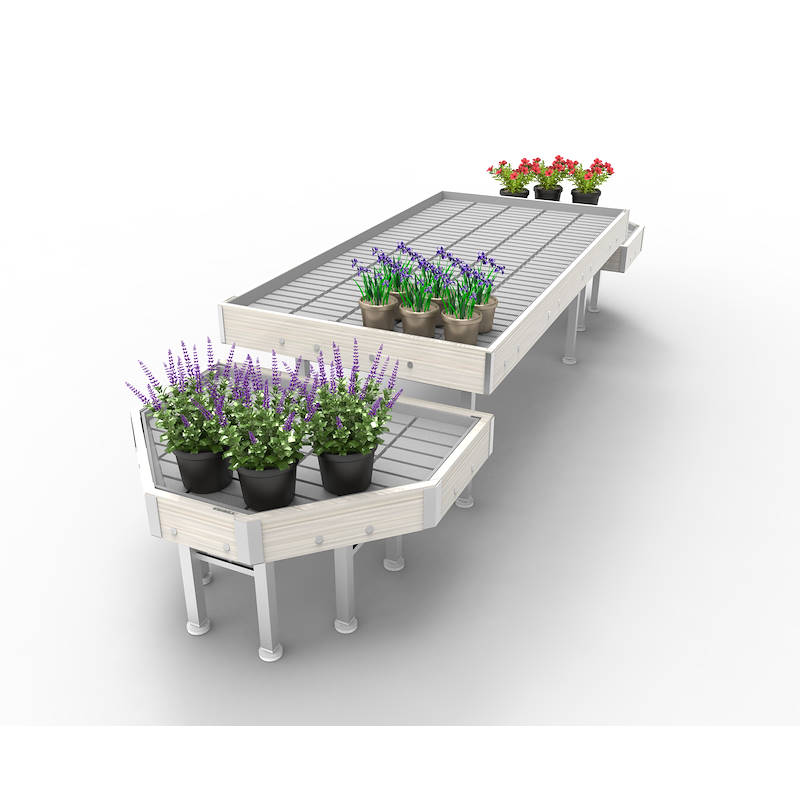 AKTIONEN Set Linie AMOR