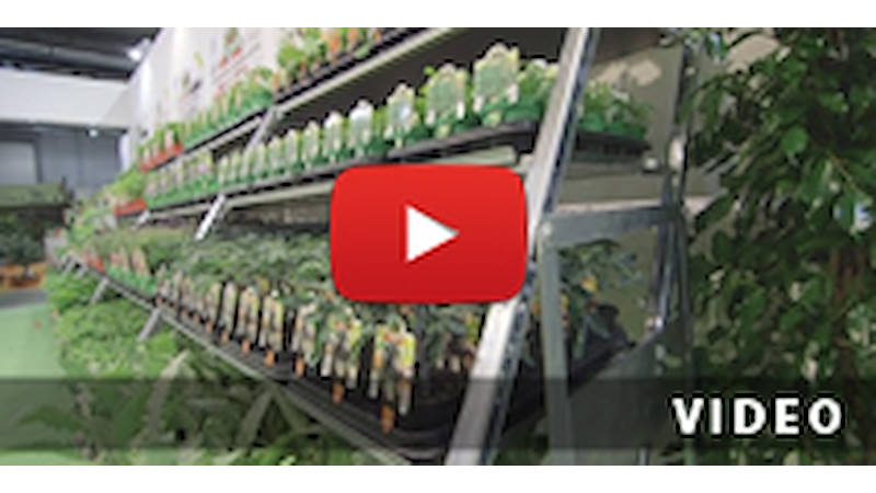 Cabriolet-Verkaufsständer