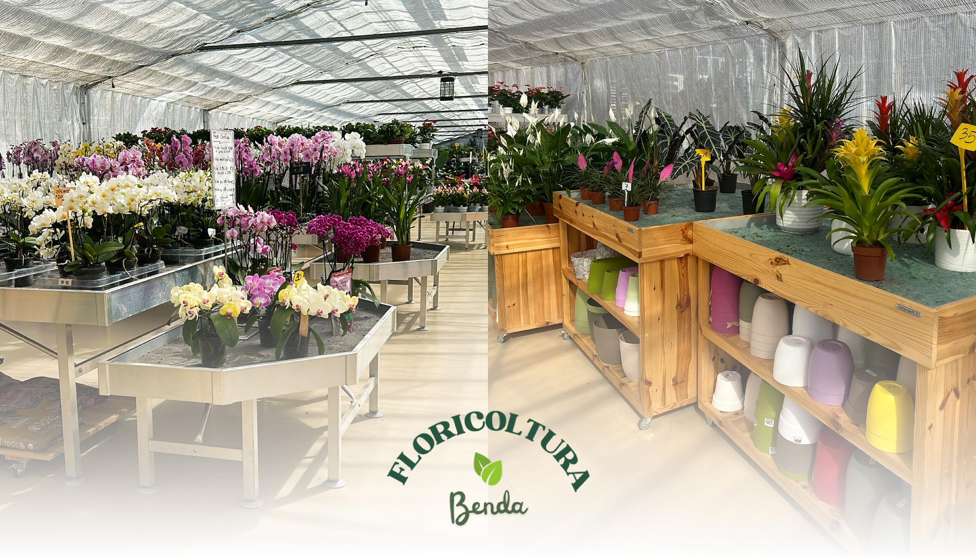 Vom Baumschulbetrieb zum Garden Center: Das Restyling von Floricoltura Benda