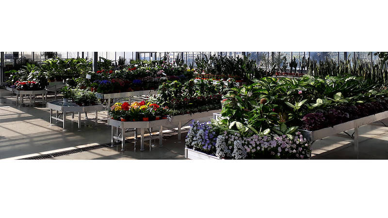 Display benches for plants and flowers