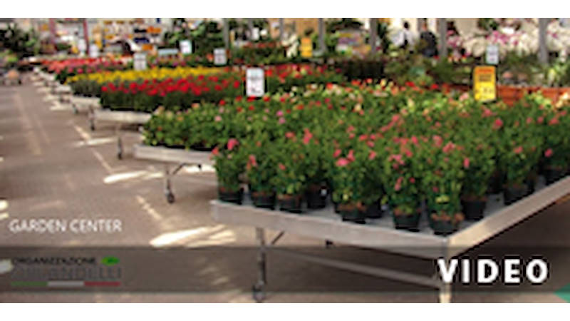 DIY GLOBAL, 150 Wörter über Organizzazione Orlandelli