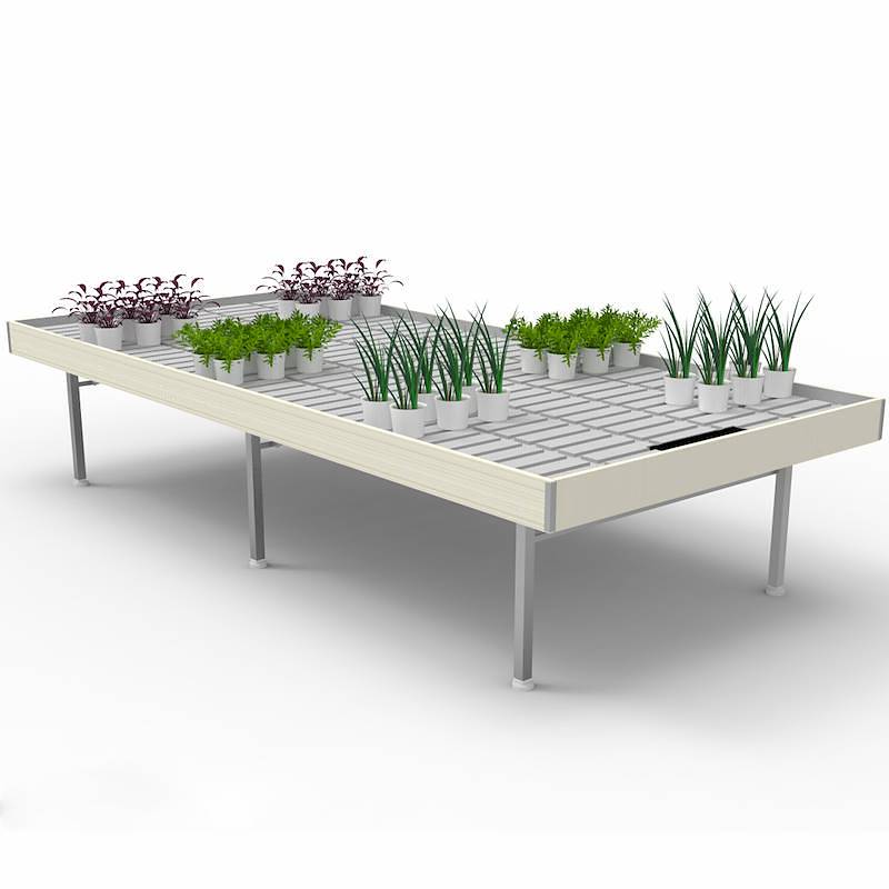 Holztisch Linie AMOR, Größe: 1660 mm x 3060 mm, Höhe: h 750 mm, Farbe: weißes Holz, Packung: 5 Stücke