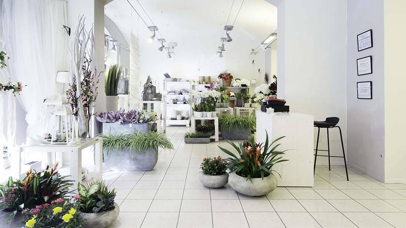 Green Garden, the new flower boutique