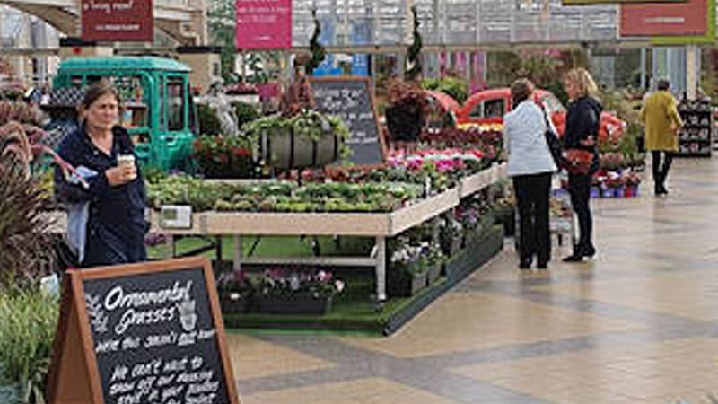 Der erste Eindruck – ein wichtiges neues Element für Verkaufsräume