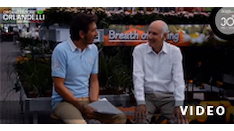 Interview mit Colin Squire