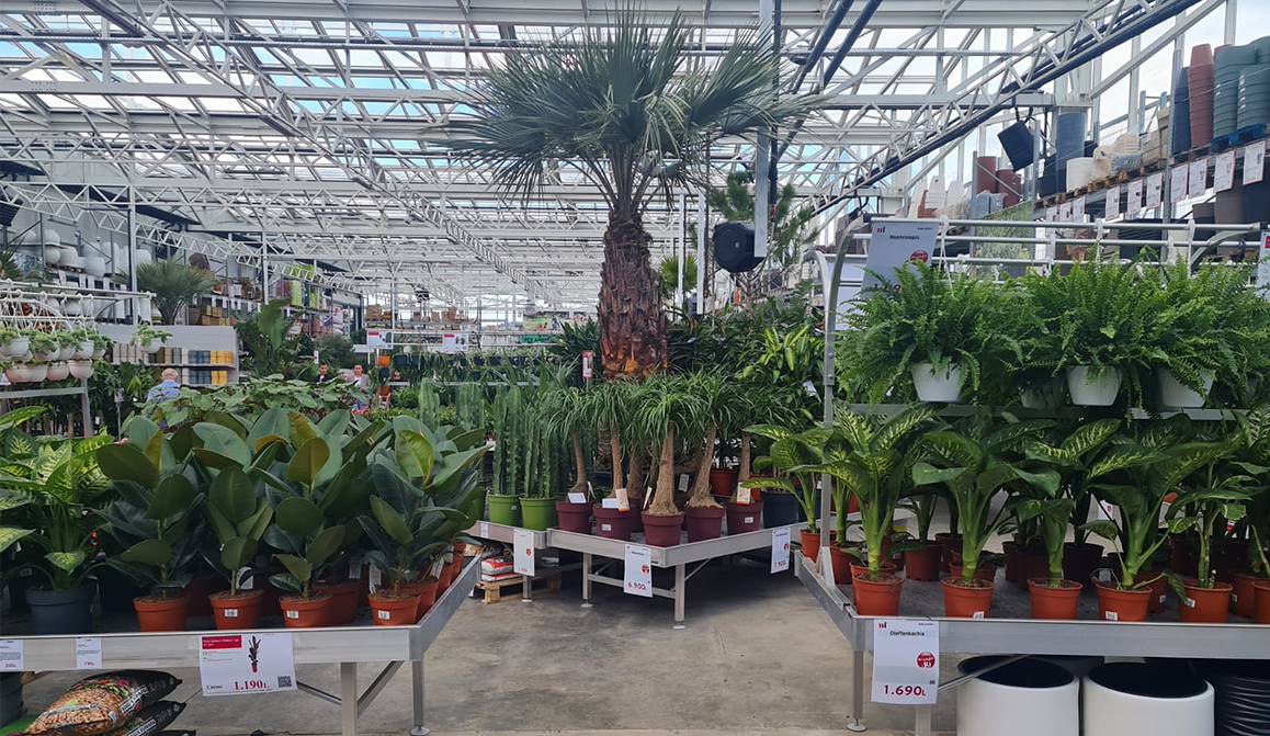 Megatek eröffnet seinen neuen Garten: 6500 Quadratmeter für die grüne Welt