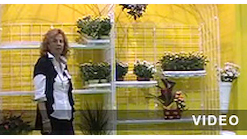 Möbel für Garten-Center