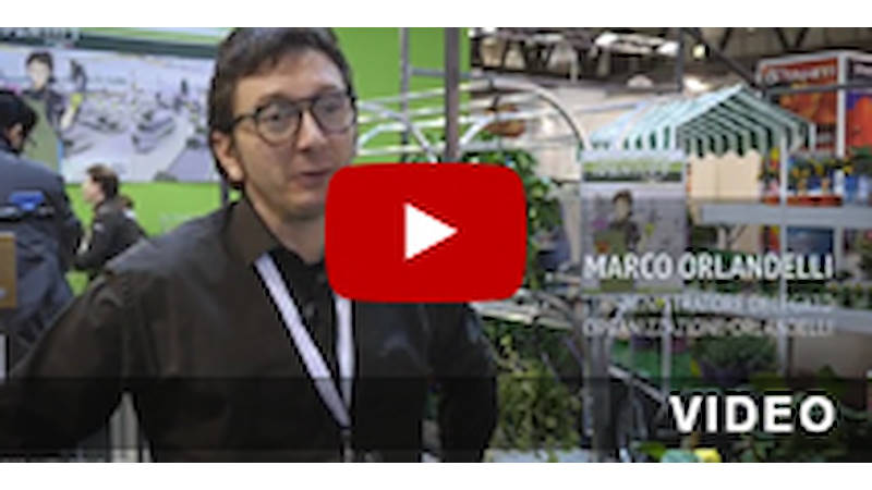 Myplant & Garden 2017