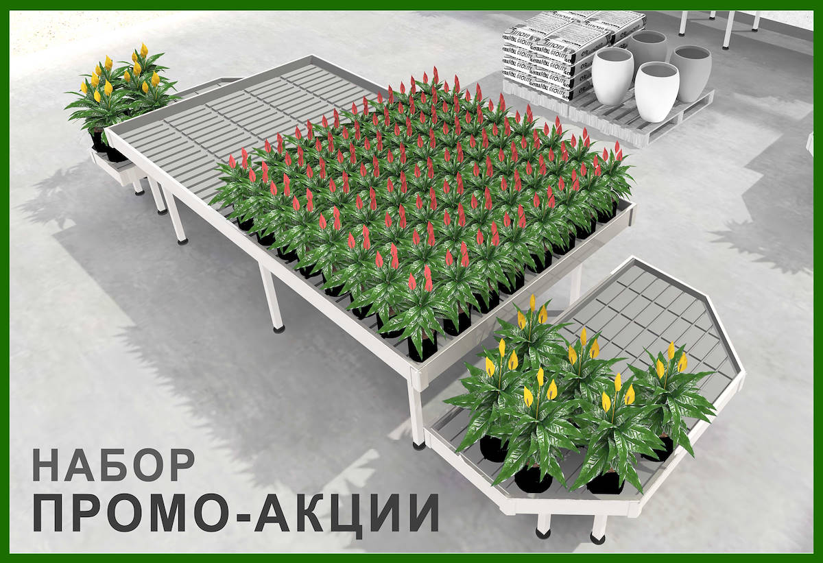 ВЫСТАВОЧНЫЕ МОДЕЛИ ДЛЯ ЦВЕТОВ И РАСТЕНИЙ
