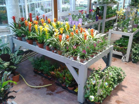 JARDIDEA, il nuovo Garden Center a pochi passi da Madrid
