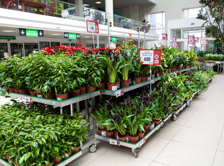 Fourniture pour Jardinerie en Russie, TVOY DOM