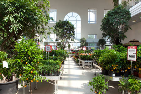 Ausstattung eines Gartencenters in Russland, TVOY DOM