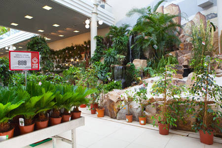 Ausstattung eines Gartencenters in Russland, TVOY DOM