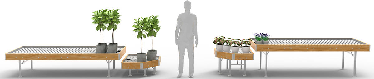 End cap Holzlinie AMOR