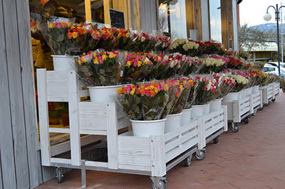 “Fiori Fiori” – Borgo Buggiano  متجر زهور