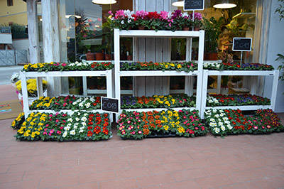 Flowershop “Fiori Fiori” – Borgo Buggiano