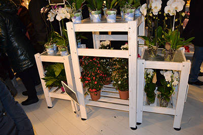 Flowershop “Fiori Fiori” – Borgo Buggiano