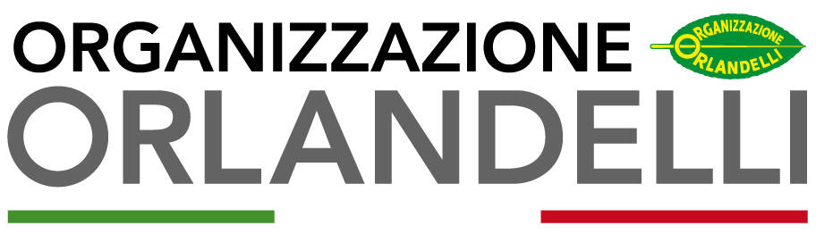 Official partner 
