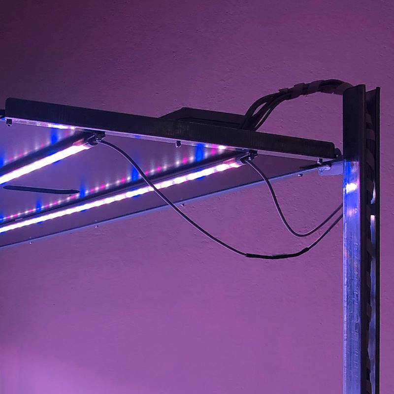 DC-Pflanzenwagen mit LED-Leuchtenset für Mikrogrün