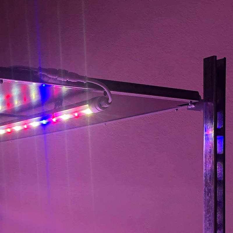 DC-Pflanzenwagen mit LED-Leuchtenset für Mikrogrün