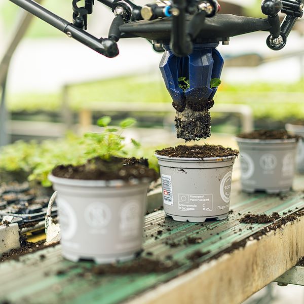 Kollaborativer Roboter für hocheffiziente Gewächshäuser