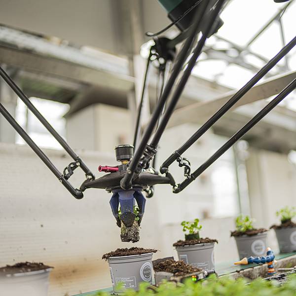 Kollaborativer Roboter für hocheffiziente Gewächshäuser