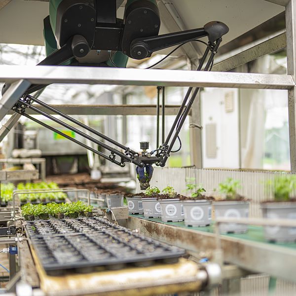 Kollaborativer Roboter für hocheffiziente Gewächshäuser