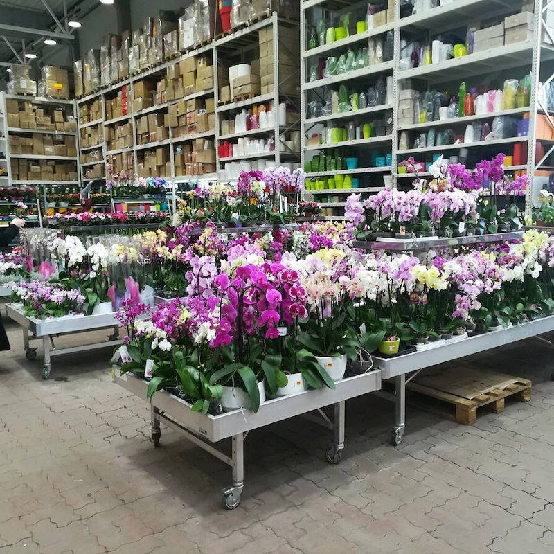 geschweißte Aluminium-Verkaufstisch auf Rädern