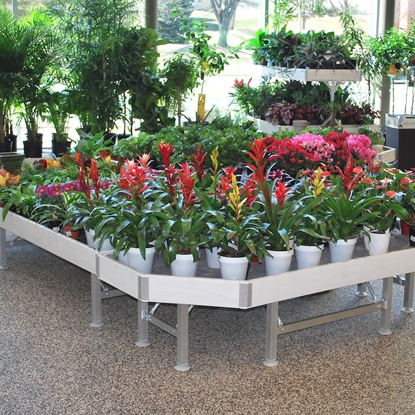 End cap Holzlinie AMOR