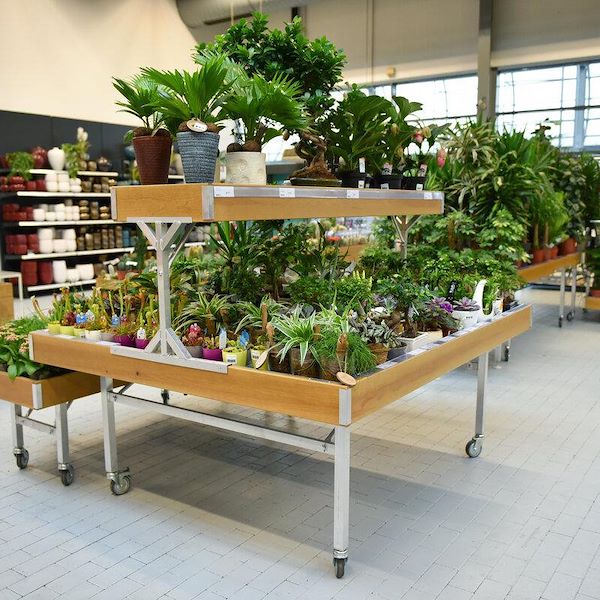 Erhobener Holztisch Linie AMOR