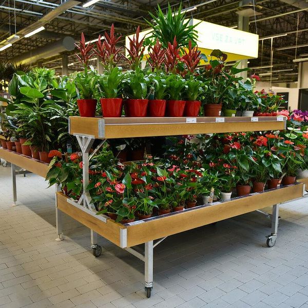 Erhobener Holztisch Linie AMOR