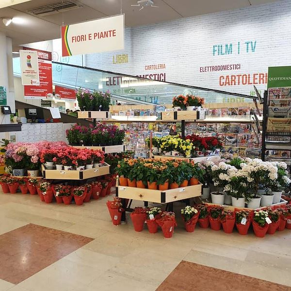 Sechseckiger Holztisch Linie Amor