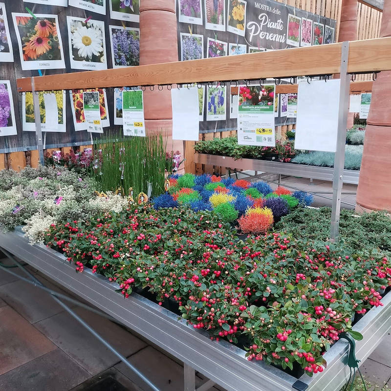 Holzplatten mit höhenverstellbaren Gestell für Verkaufstisch