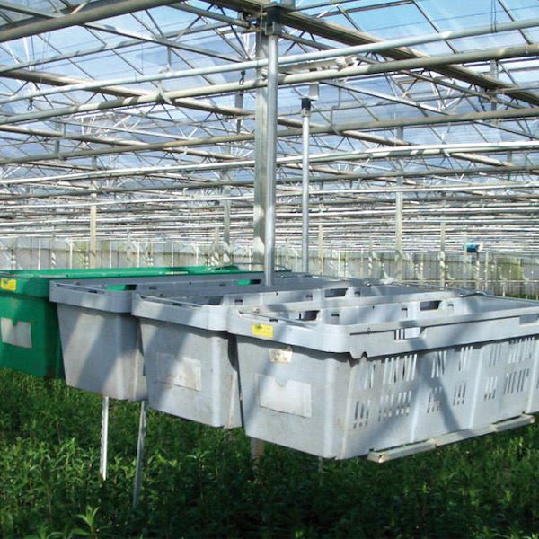 Panier pour transport fleurs