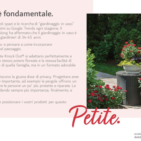 I Trend del settore Garden 2023 - 2° parte