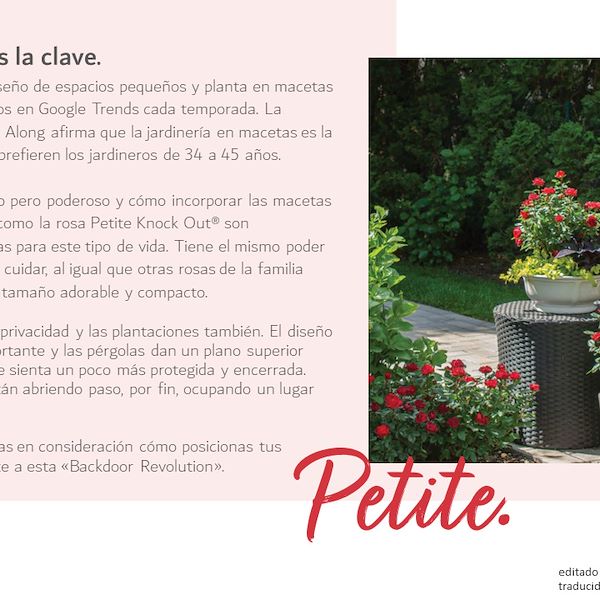 Garden Trends Report 2023 - Segunda Parte
