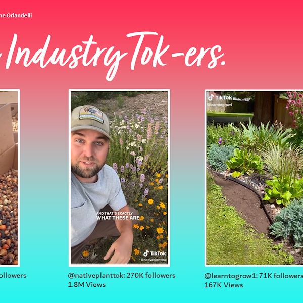 Garden Trends Report 2023 - Zweiter Teil