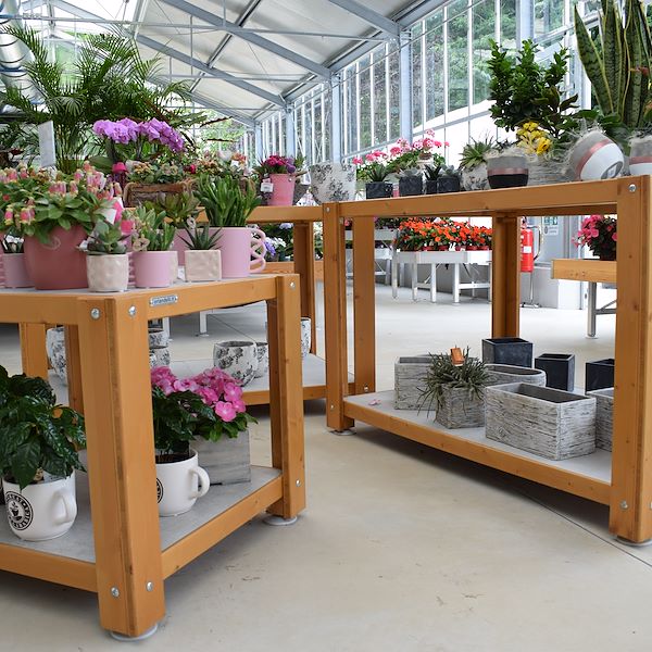 DAS GARTENZENTRUM FELTRINA