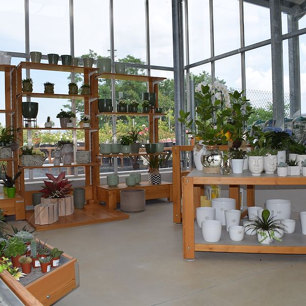EL CENTRO DE JARDINERÍA FELTRINA