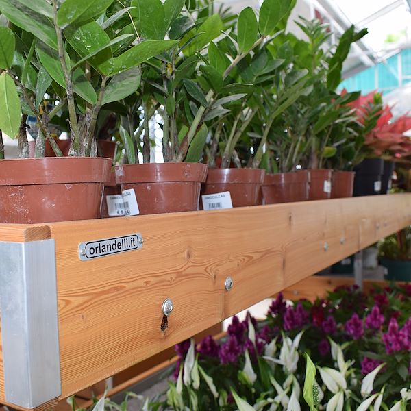 THE FELTRINA GARDEN CENTER