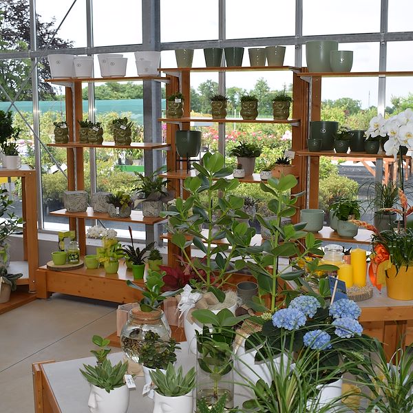 THE FELTRINA GARDEN CENTER