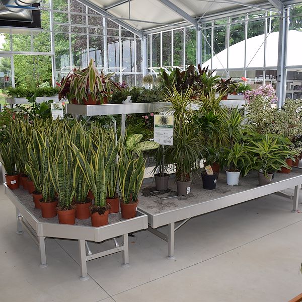 DAS GARTENZENTRUM FELTRINA