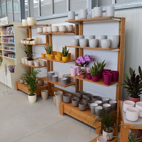 EL CENTRO DE JARDINERÍA FELTRINA