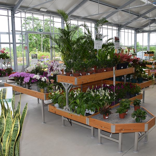 DAS GARTENZENTRUM FELTRINA