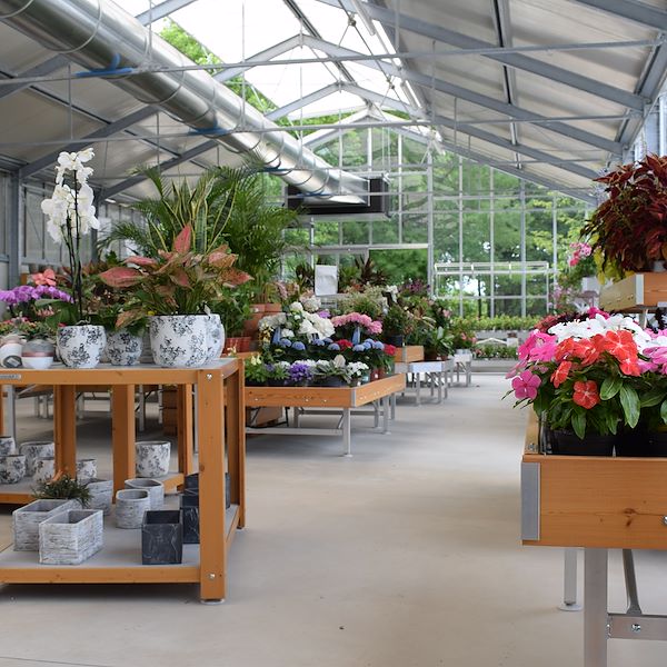 LA JARDINERIE FELTRINA