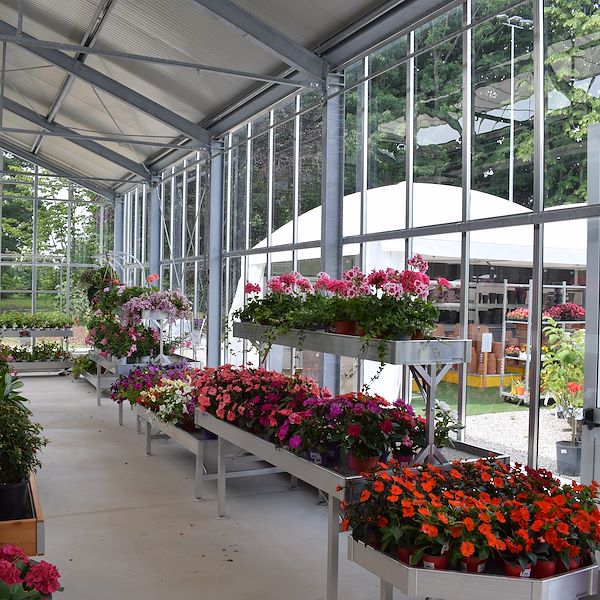 DAS GARTENZENTRUM FELTRINA