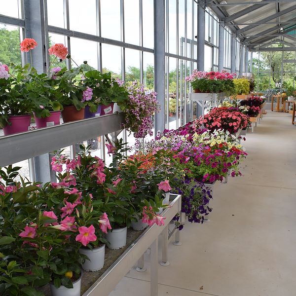 THE FELTRINA GARDEN CENTER