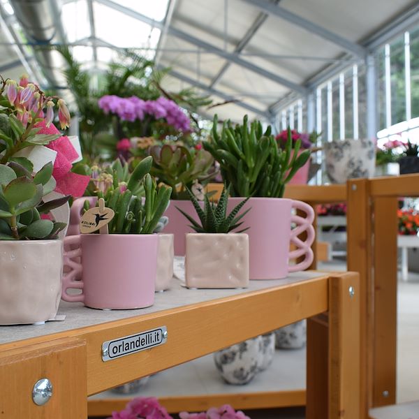 IL GARDEN CENTER FELTRINA
