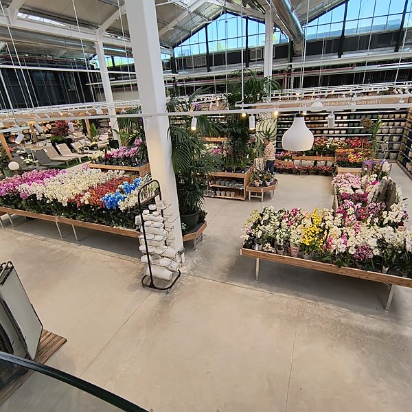 Indoor plants